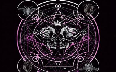 Bárbara Black – Love, Death & Flies