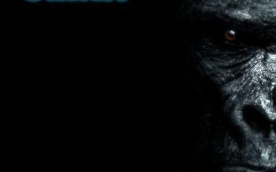 CARESS: King Kong Caress